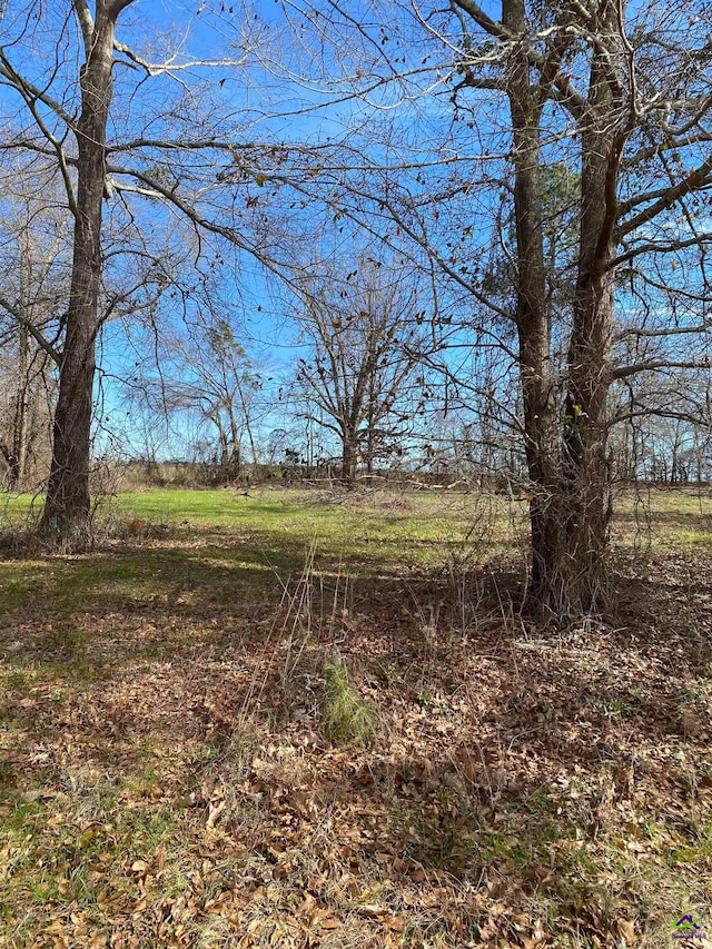 50 River Rdg, Hawkinsville GA, 31036 land for sale