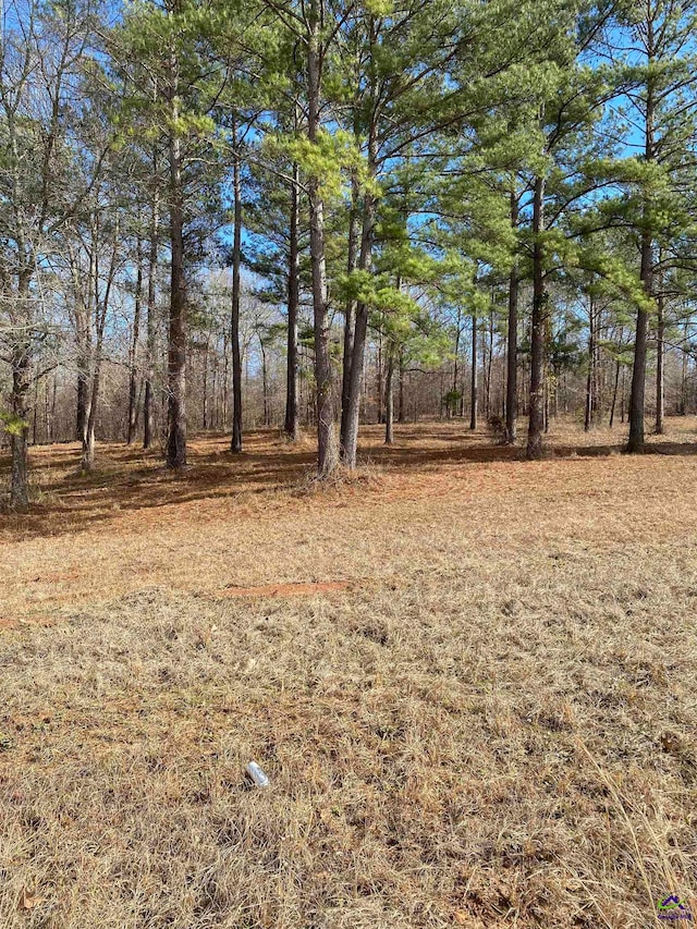 Listing photo 2 for 1B River Rdg, Hawkinsville GA 31036