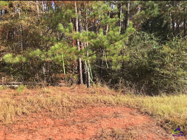 TRACT-9 Lower Simmons Rd, Macon GA, 31220 land for sale