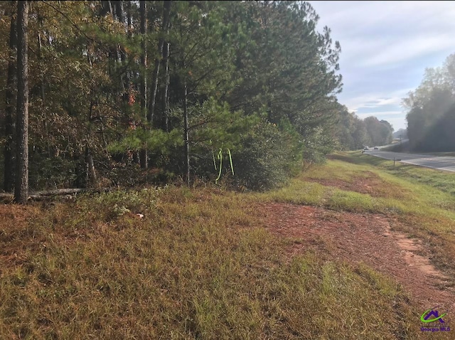 Listing photo 2 for TRACT-9 Lower Simmons Rd, Macon GA 31220