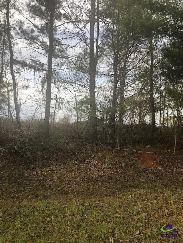 V/L Crabapple Dr, Hawkinsville GA, 31036 land for sale