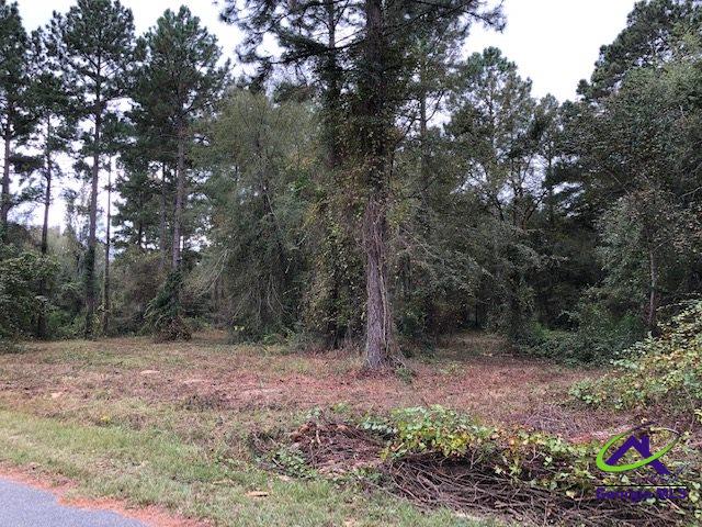 Listing photo 2 for 0 Wood Oak Cir, Cochran GA 31014