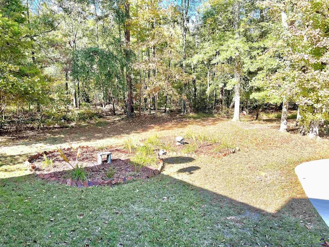 2382 Gallimore Mill Rd, Jeffersonville, GA 31044 - view of green lawn