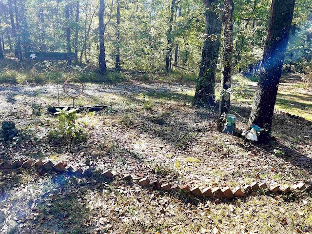 2382 Gallimore Mill Rd, Jeffersonville, GA 31044 - view of yard