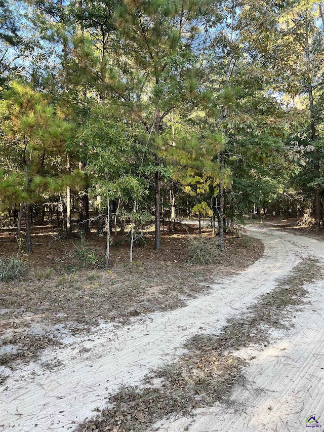 2382 Gallimore Mill Rd, Jeffersonville, GA 31044 - view of street