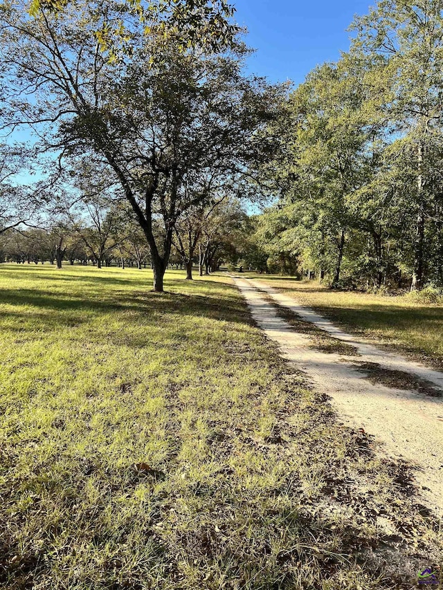 2382 Gallimore Mill Rd, Jeffersonville, GA 31044 - view of road