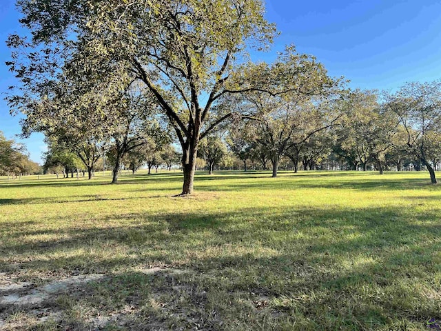 2382 Gallimore Mill Rd, Jeffersonville, GA 31044 - view of grassy yard