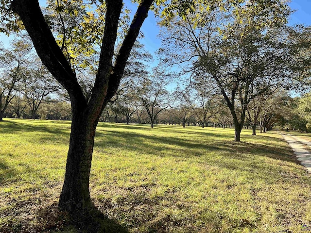 2382 Gallimore Mill Rd, Jeffersonville, GA 31044 - view of green lawn