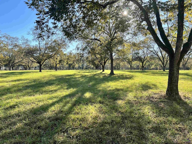 2382 Gallimore Mill Rd, Jeffersonville, GA 31044 - view of green lawn