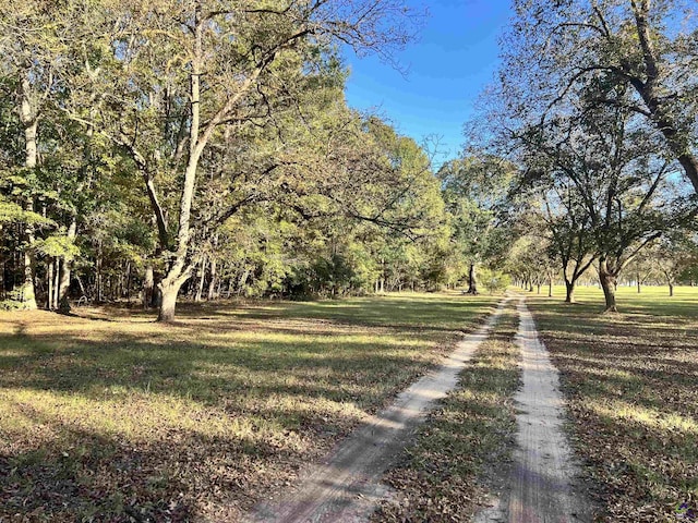 2382 Gallimore Mill Rd, Jeffersonville, GA 31044 - view of street