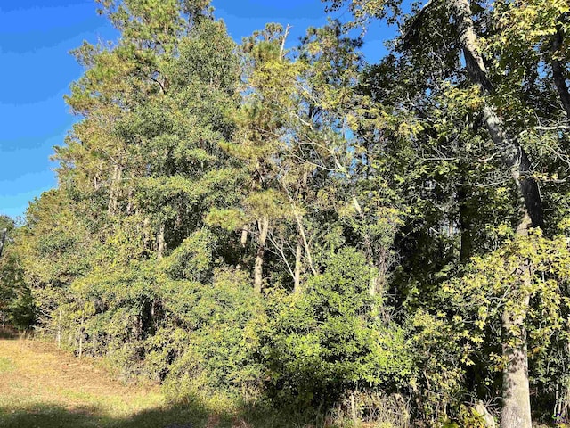 2382 Gallimore Mill Rd, Jeffersonville, GA 31044 - view of woods