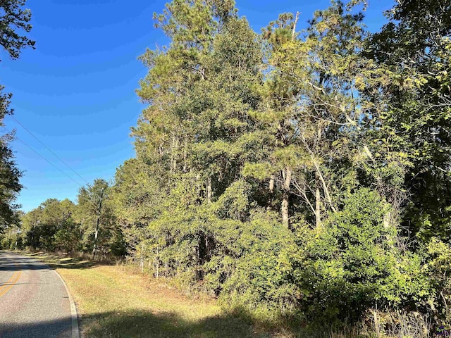 2382 Gallimore Mill Rd, Jeffersonville, GA 31044 - view of asphalt street