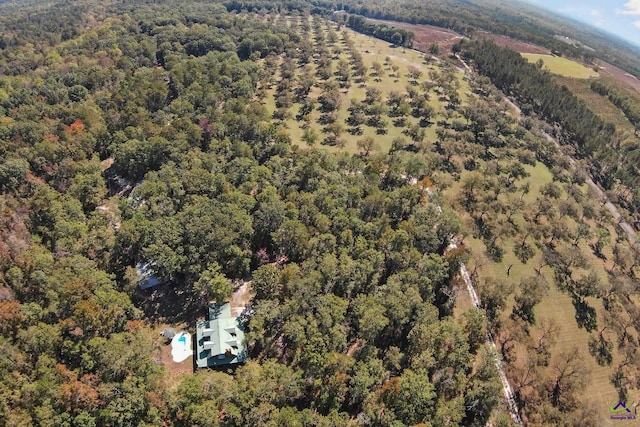 2382 Gallimore Mill Rd, Jeffersonville, GA 31044 - view of property location featuring a heavily wooded area