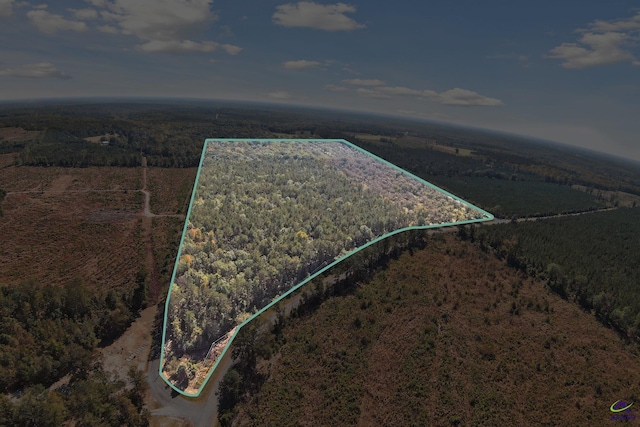 2382 Gallimore Mill Rd, Jeffersonville, GA 31044 - aerial view of property and surrounding area with a heavily wooded area and property parcel outlined