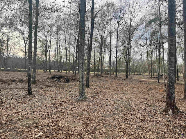 2382 Gallimore Mill Rd, Jeffersonville, GA 31044 - view of nature