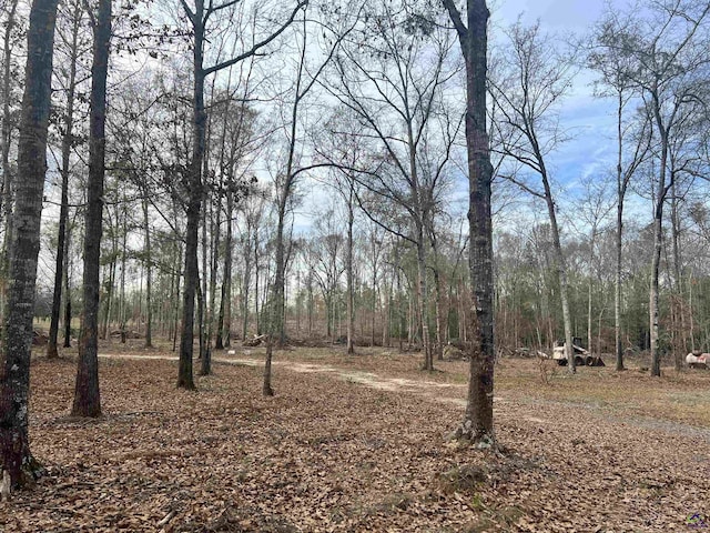 2382 Gallimore Mill Rd, Jeffersonville, GA 31044 - view of yard featuring a view of trees