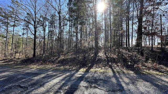 LOT208 Anthemis Dr, Sparta GA, 31087 land for sale