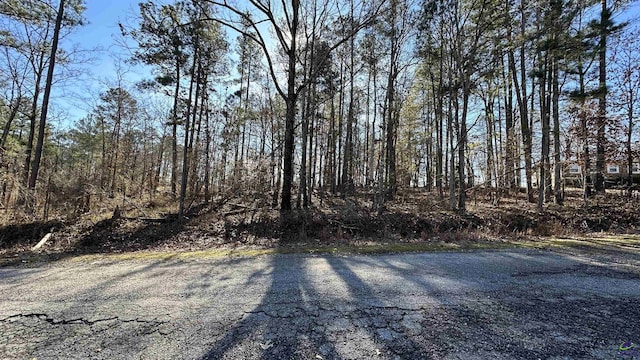 Listing photo 3 for LOT208 Anthemis Dr, Sparta GA 31087