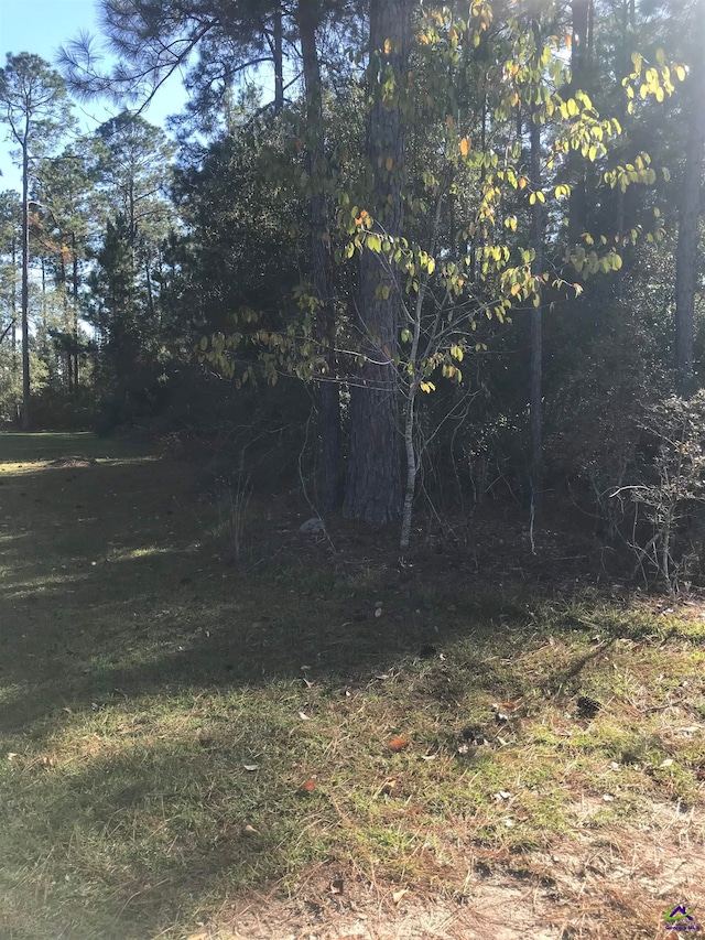 Listing photo 3 for 0 Eagles Nest Cir, Eastman GA 31023