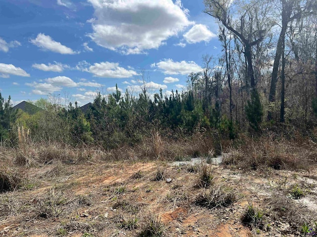 118 Garrett Ln, Bonaire GA, 31005 land for sale