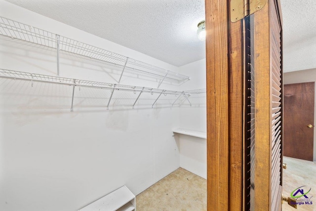 spacious closet with light colored carpet