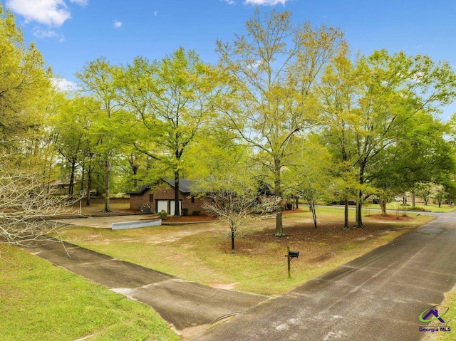 view of home's community featuring a yard