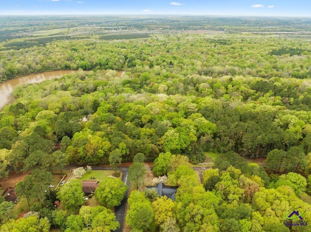 view of birds eye view of property