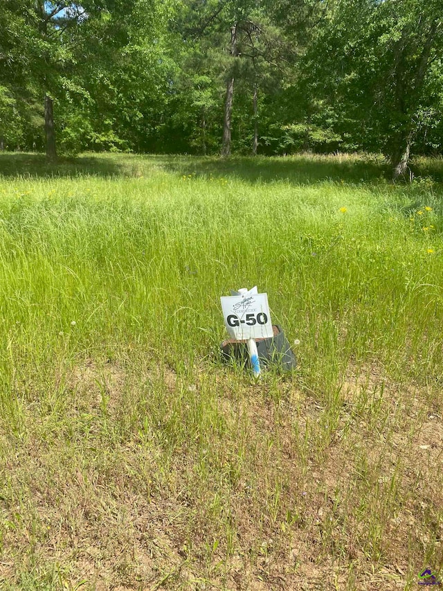 LOT50 River Ridge Dr, Hawkinsville GA, 31036 land for sale