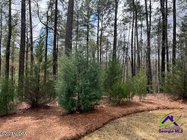 739 Dunblane Dr, Macon GA, 31210 land for sale