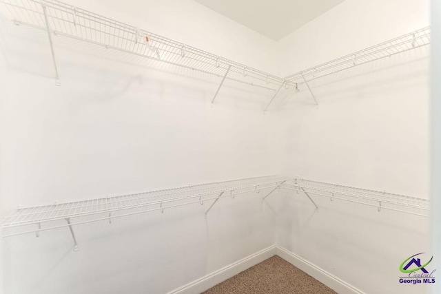 walk in closet with carpet floors