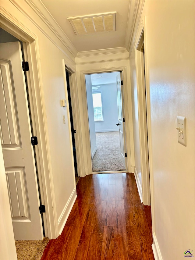 hall featuring dark hardwood / wood-style floors and crown molding