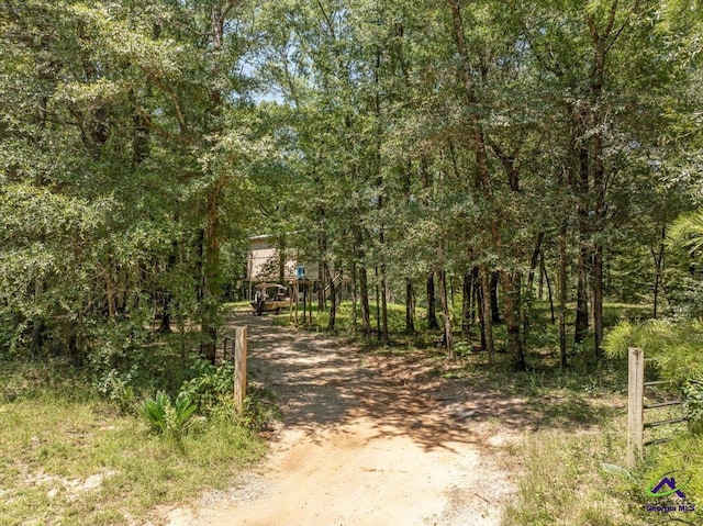 311 Riverside Dr, Hawkinsville, GA 31036 - view of street with driveway