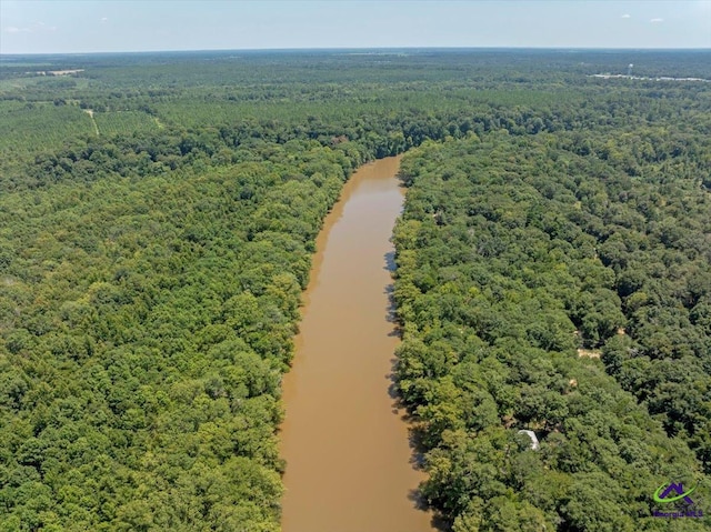 311 Riverside Dr, Hawkinsville, GA 31036 - birds eye view of property with a wooded view and a water view