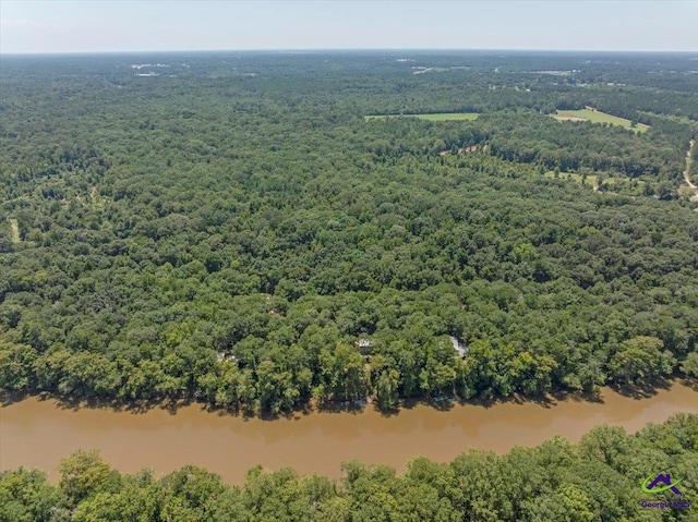 311 Riverside Dr, Hawkinsville, GA 31036 - drone / aerial view featuring a water view and a forest view