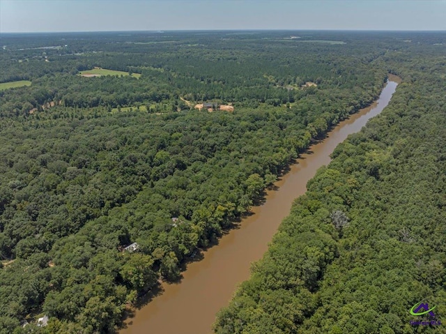 311 Riverside Dr, Hawkinsville, GA 31036 - birds eye view of property with a water view and a view of trees