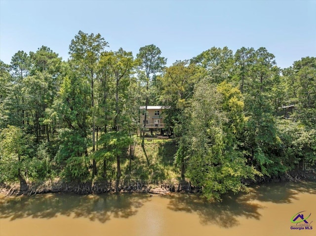 311 Riverside Dr, Hawkinsville, GA 31036 - birds eye view of property