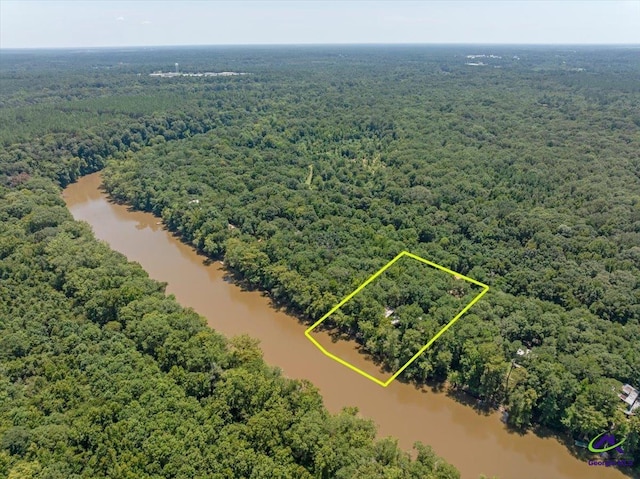 311 Riverside Dr, Hawkinsville, GA 31036 - bird's eye view with a water view and a forest view