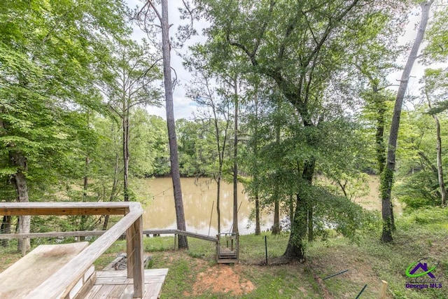 311 Riverside Dr, Hawkinsville, GA 31036 - view of yard
