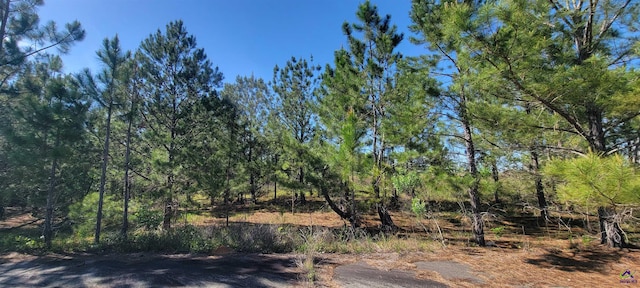 00 Benny Sharp Rd, Hawkinsville GA, 31036 land for sale