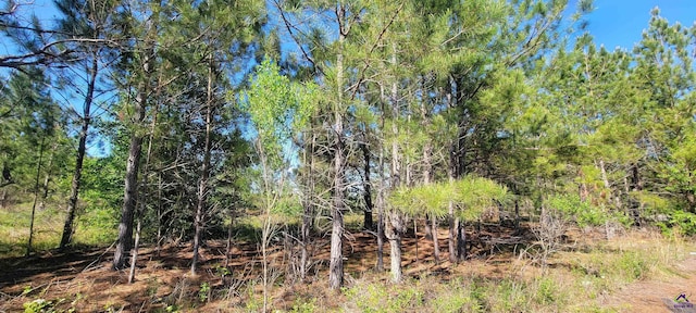 Listing photo 2 for 00 Benny Sharp Rd, Hawkinsville GA 31036