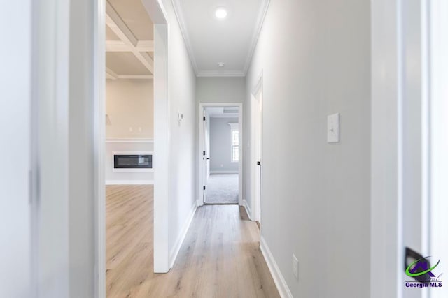 hallway with coffered ceiling, light hardwood / wood-style flooring, and ornamental molding