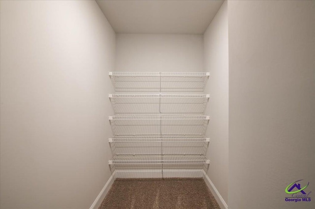 219 Carsons Walk, Macon, GA 31216 - spacious closet with carpet flooring
