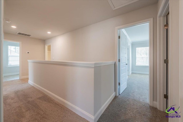 219 Carsons Walk, Macon, GA 31216 - hallway with light colored carpet, baseboards, visible vents, and a wealth of natural light