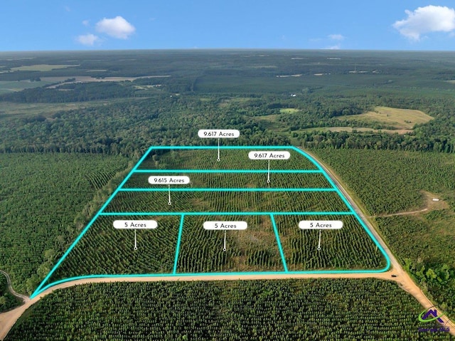 PARCEL13 Carl Rodgers Rd, Reynolds GA, 31076 land for sale