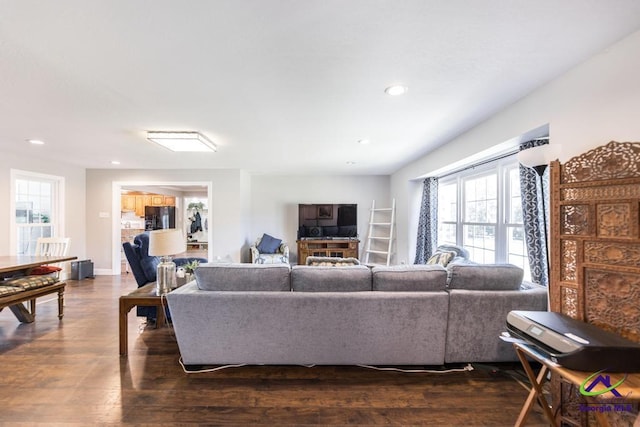 living room with dark hardwood / wood-style flooring