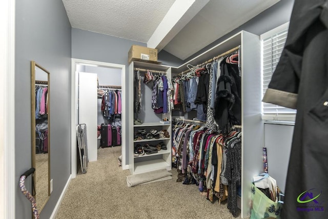 walk in closet featuring carpet