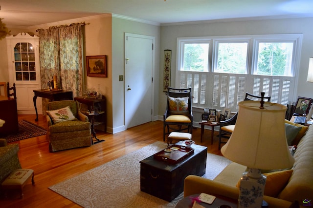 living room featuring hardwood / wood-style flooring and crown molding