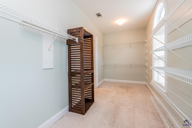 spacious closet featuring light carpet