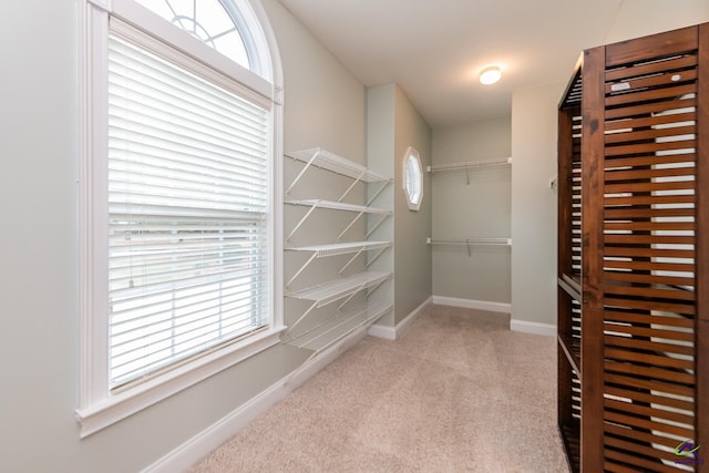 spacious closet with light carpet