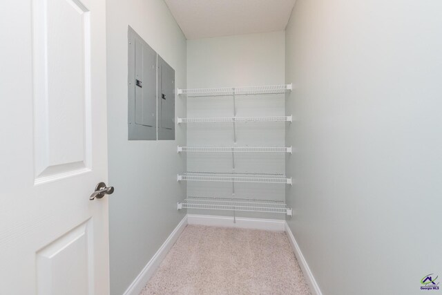 spacious closet featuring electric panel